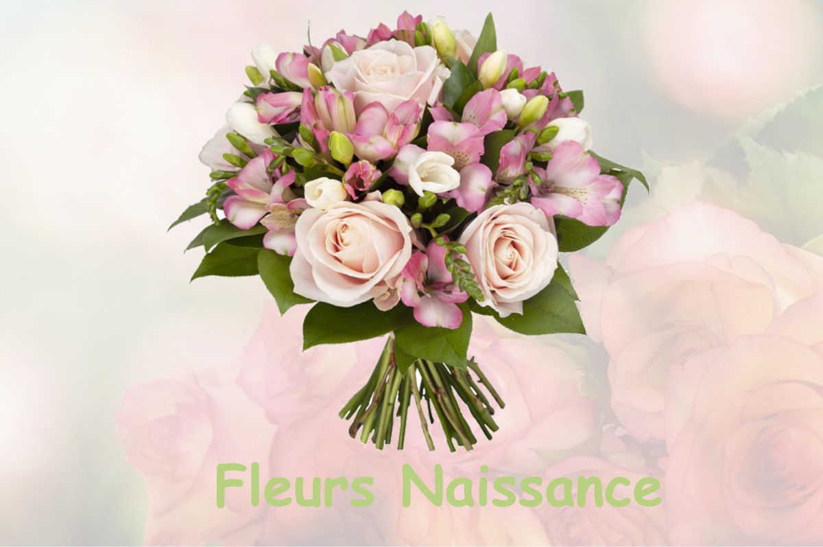 fleurs naissance LE-FRECHE