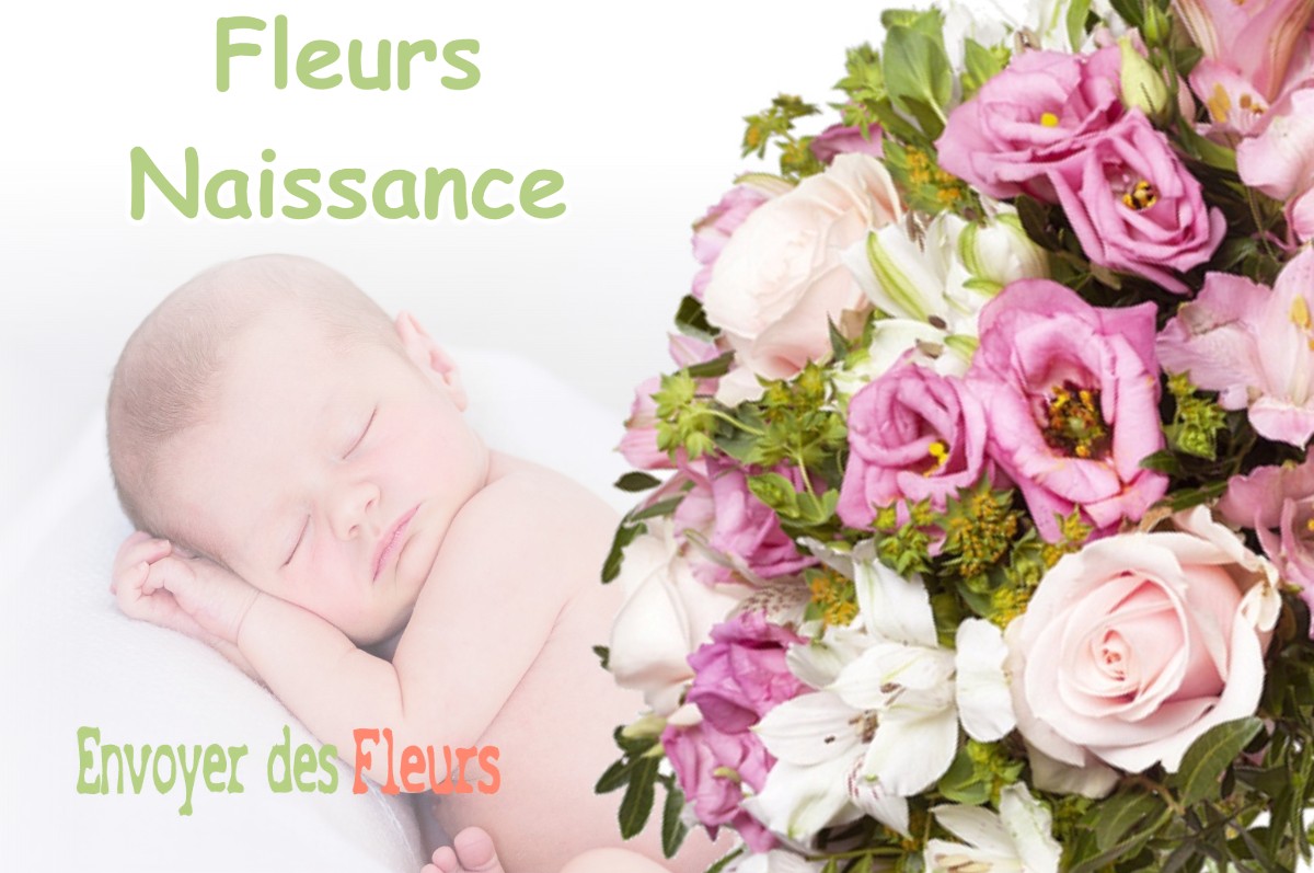 lIVRAISON FLEURS NAISSANCE à LE-FRECHE